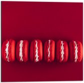 Dibond - Rode Macarons op Rode Achtergrond - 50x50cm Foto op Aluminium (Wanddecoratie van metaal)