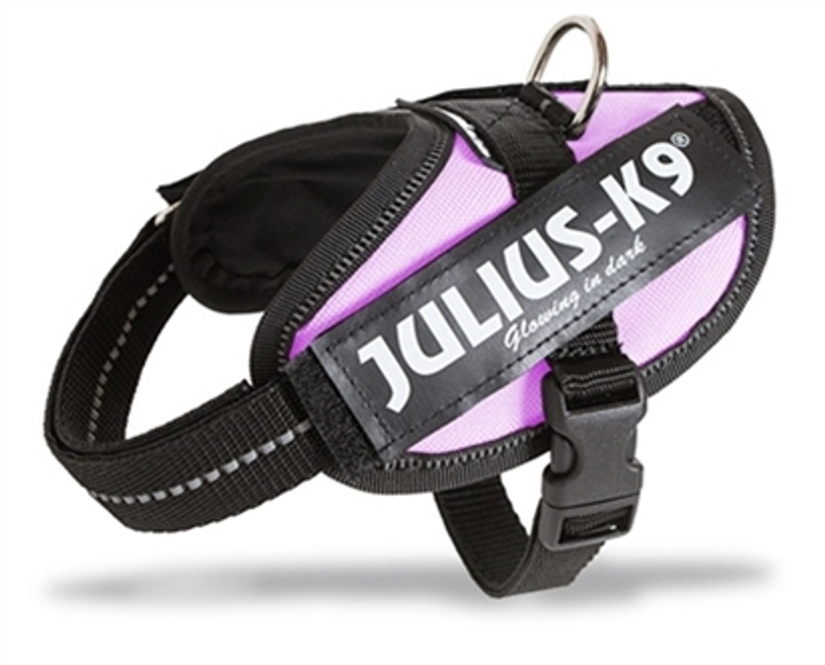 Bol.com WERELD BEKENDE JULIUS K9 IDC POWERTUIG VOOR TEKSTLABELS ROZE MAAT: MINI-MINI aanbieding