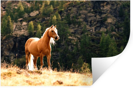 Muurstickers - Sticker Folie - Haflinger paard in de bergen - 30x20 cm - Plakfolie - Muurstickers Kinderkamer - Zelfklevend Behang - Zelfklevend behangpapier - Stickerfolie