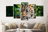 Schilderij -Nieuwsgierig Luipaard welp,  5 luik, 200x100cm, premium print