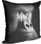 Silverback gorilla op zwarte achtergrond - Foto op Sierkussen - 60 x 60 cm