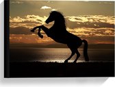 Canvas  - Silhouet van Steigerend Paard op het Strand - 40x30cm Foto op Canvas Schilderij (Wanddecoratie op Canvas)