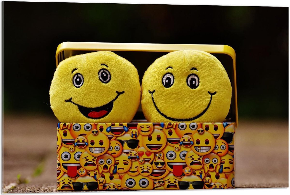 Acrylglas - Smiley Knuffels in Bakje - 90x60cm Foto op Acrylglas (Met Ophangsysteem)