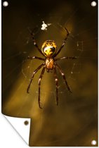 Close-up of Spider Garden poster 100x200 cm - Photo sur affiche de jardin / Peintures pour l'extérieur (décoration de jardin)
