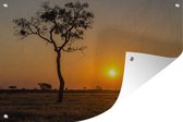 Tuindecoratie Afrikaanse savanne tijdens zonsopkomst - 60x40 cm - Tuinposter - Tuindoek - Buitenposter