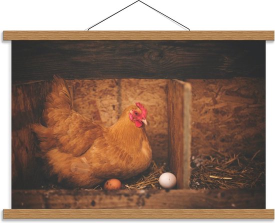 Schoolplaat – Kip in Hok met Eieren - 60x40cm Foto op Textielposter (Wanddecoratie op Schoolplaat)