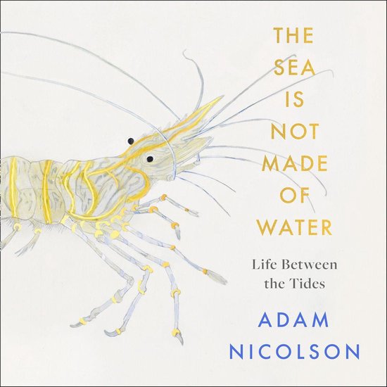 Boek cover the sea is not made of water: Life Between the Tides van Adam Nicolson (Onbekend)