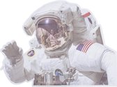 NASA: Ride with Astronaut Car Sticker