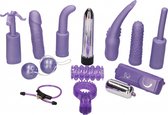 Dirty Dozen Toy Kit - Purple