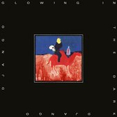 Django Django - Glowing In The Dark (LP)