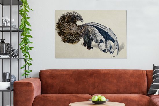 Une illustration antique d'un fourmilier géant 140x90 cm - Tirage photo sur toile (Décoration murale salon / chambre)