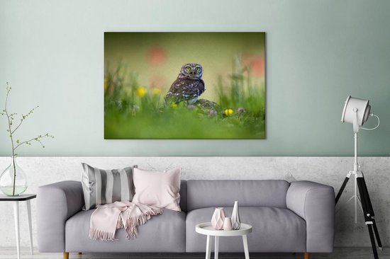 Chouette assise sur un rocher dans un champ 180x120 cm - Tirage photo sur toile (Décoration murale salon / chambre) XXL / Groot format!