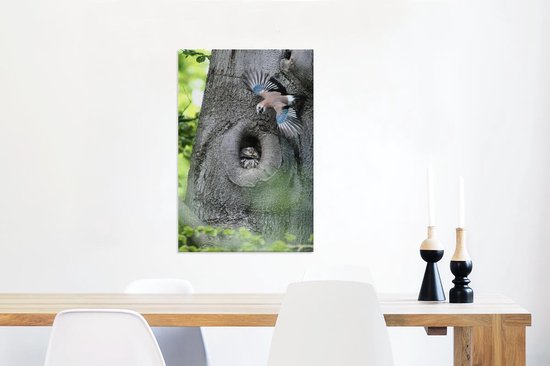 Jay avec un hibou 60x90 cm - Tirage photo sur toile (Décoration murale salon / chambre)