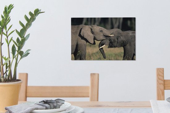 Toile d'éléphants gambadeurs 2cm 30x20 cm - petit - Tirage photo sur toile (Décoration murale salon / chambre) / animaux sauvages Peintures sur toile