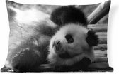 Buitenkussens - Tuin - Dierenprofiel rollende panda in zwart-wit - 60x40 cm