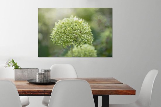 Hortensia vert sur fond délavé 60x40 cm - Tirage photo sur toile (Décoration murale salon / chambre) / Peintures Fleurs sur toile