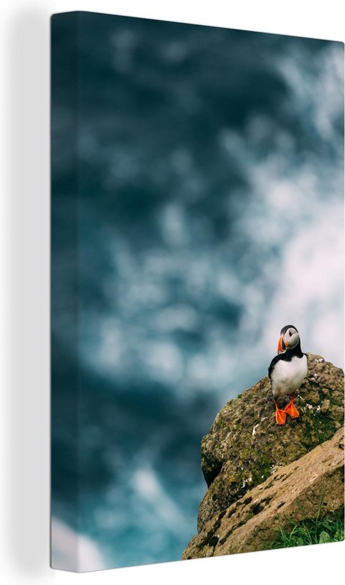 Macareux moine au bord d'une falaise toile 2cm 80x120 cm - Tirage photo sur toile (Décoration murale salon / chambre)