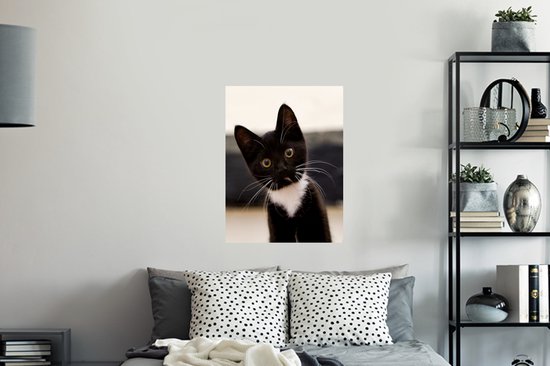 Stickers muraux - Sticker Foil - Un gros plan d'un chaton noir et blanc - 60x80 cm - Adhésif Foil - Stickers muraux Chambre d'Enfant - Papier Peint Auto Adhésif