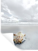 Sticker Muursticker Coquillages - Coquillage sur plage blanche - 60x80 cm - film adhésif autocollant - sticker mural repositionnable