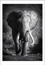 Elephant Spirit Animal (29,7x42cm) - Wallified - Tekst - Zwart Wit - Poster - Wall-Art - Woondecoratie - Kunst - Posters