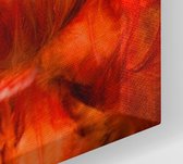 Vrouw in Orange veren,  - Foto op Canvas - 60 x 90 cm