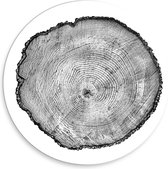 Forex Wandcirkel - Schijf van Boomstronk (zwart/wit) - 30x30cm Foto op Wandcirkel (met ophangsysteem)