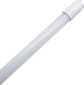 LED TL-buis 120cm T8 ondoorzichtig 20W IP40 - Koel wit licht