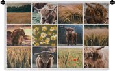 Wandkleed - Wanddoek - Schotse Hooglander - Collage - Bloemen - Tuin - 90x60 cm - Wandtapijt