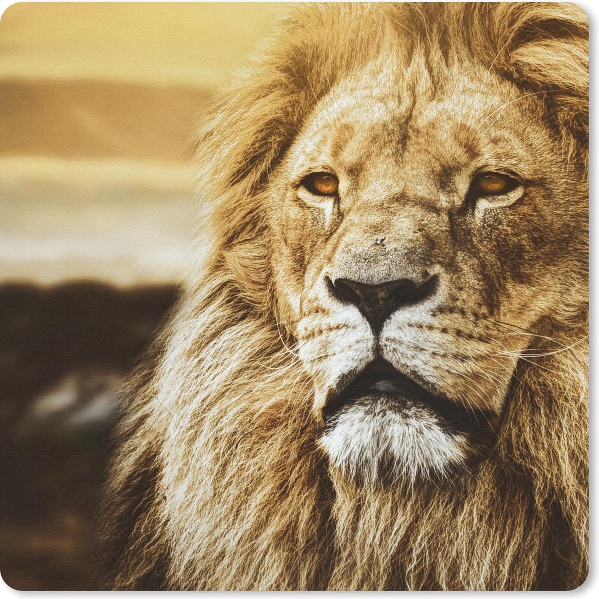 Muismat 30x30 cm - Mousepad Leeuwen - Profiel - Zonsondergang - Muismatten