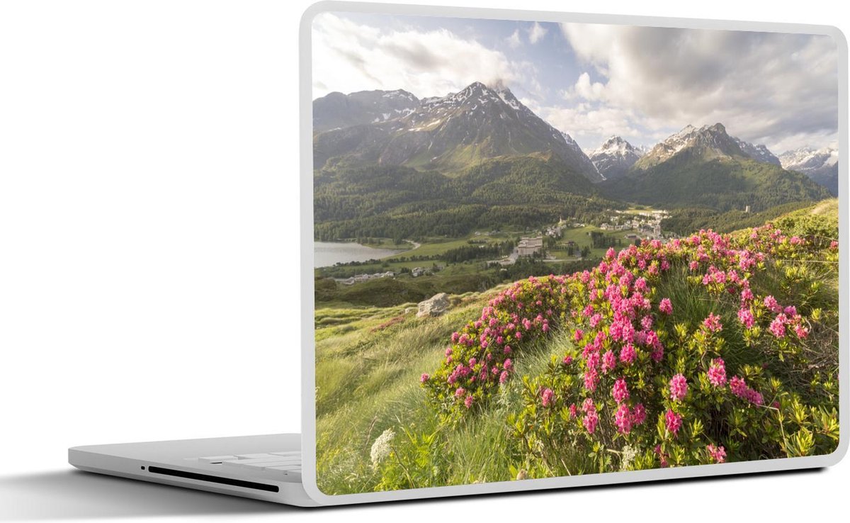 Laptop sticker - 10.1 inch - Bloemenweide - Bergen - Roze - 25x18cm - Laptopstickers - Laptop skin - Cover