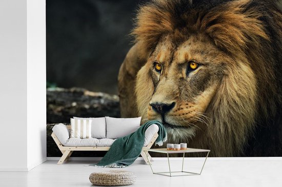 Papier peint - Papier peint photo Lion - Portrait - Sauvage - Largeur 420 cm x hauteur 280 cm