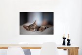 Canvas Schilderij Katten - Slapen - Abessijn - Huisdieren - 60x40 cm - Wanddecoratie