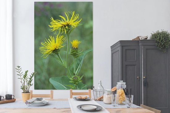 Fleur d'Alant jaune entre la haute herbe verte Toile 120x180 cm - Tirage photo sur toile (Décoration murale salon / chambre) XXL / Groot format!
