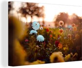 Canvas Schilderij Bloemen - Lente - Zon - Seizoenen - 30x20 cm - Wanddecoratie