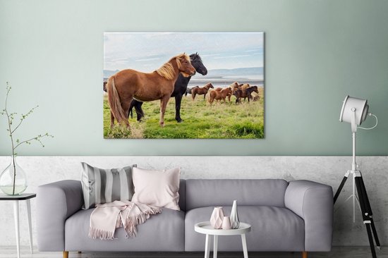 Troupeau de chevaux islandais dans l'herbe verte 120x80 cm - Tirage photo sur toile (Décoration murale salon / chambre) / Peintures sur toile animaux sauvages
