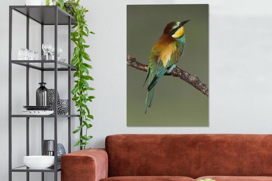 Guêpier d'Europe (Merops apiaster) se trouve sur une branche Sardaigne Italie Toile 80x120 cm - Tirage photo sur toile (Décoration murale salon / chambre)