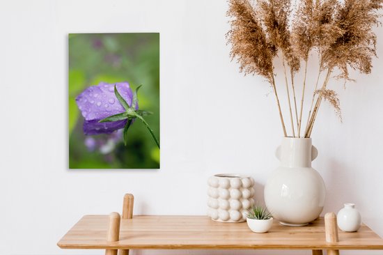 Gouttes de pluie sur la fleur d'une Campanule 20x30 cm - petit - Tirage photo sur toile (Décoration murale salon / chambre) / Peintures Fleurs sur toile