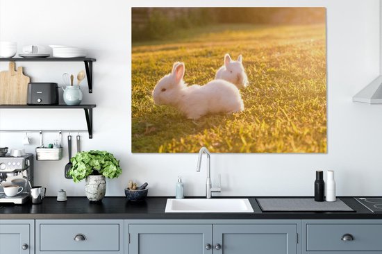 Peintures sur toile - Deux bébés lapins jouant dans l'herbe - 120x90 cm - Décoration murale