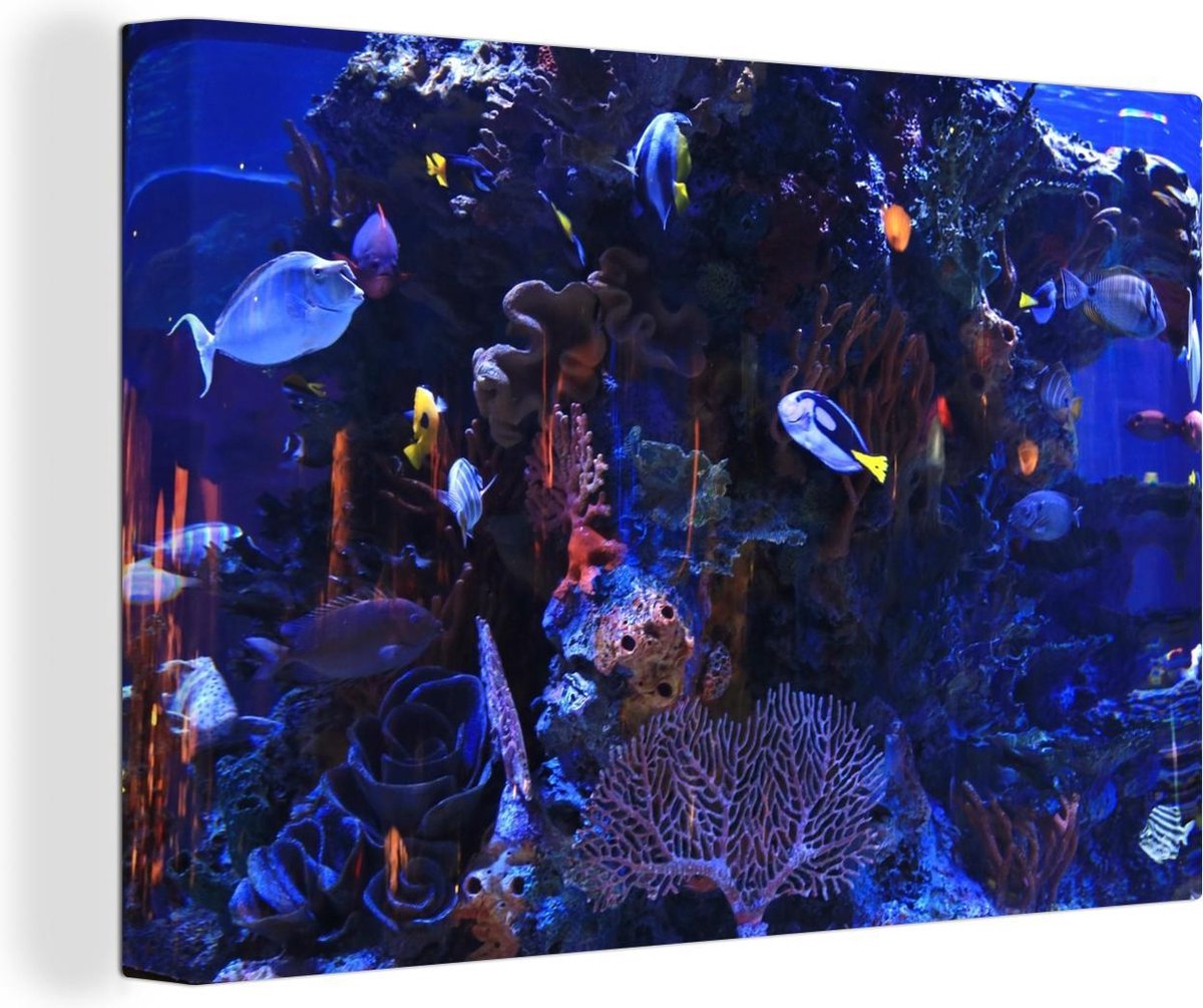 Canvas Schilderij Tropisch zoutwateraquarium - 60x40 cm - Wanddecoratie