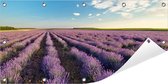 Tuinposter Lavendelveld 100 x 50 cm incl. Metalen ringen - (Buitenposter - Tuindoek - Buitencanvas - Schilderijen voor buiten - tuin decoratie)