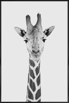 JUNIQE - Poster in kunststof lijst Giraffe Classic -20x30 /Wit & Zwart