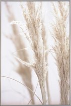 JUNIQE - Poster met kunststof lijst Pampas Reed 01 -20x30 /Ivoor & Wit