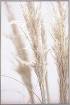 JUNIQE - Poster met kunststof lijst Pampas Reed 01 -13x18 /Ivoor & Wit