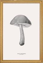 JUNIQE - Poster met houten lijst Bolete Mushroom -20x30 /Grijs & Ivoor