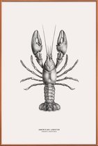 JUNIQE - Poster met kunststof lijst American Lobster -30x45 /Grijs &