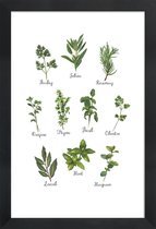 JUNIQE - Poster in houten lijst Herbs Collection -40x60 /Groen & Wit