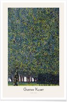 JUNIQE - Poster Klimt - Park -40x60 /Groen