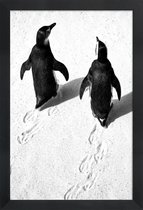 JUNIQE - Poster met houten lijst Wandelende pinguïns -13x18 /Wit &