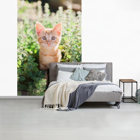Papier peint photo vinyle - Un portrait d'un chaton dans les buissons largeur 190 cm x hauteur 280 cm - Tirage photo sur papier peint (disponible en 7 tailles)