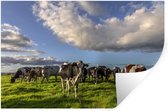 Sticker Muursticker Vache frisonne Luxurydeco - Troupeau de vaches paissant au pré - 60x40 cm - film adhésif autocollant - sticker mural repositionnable
